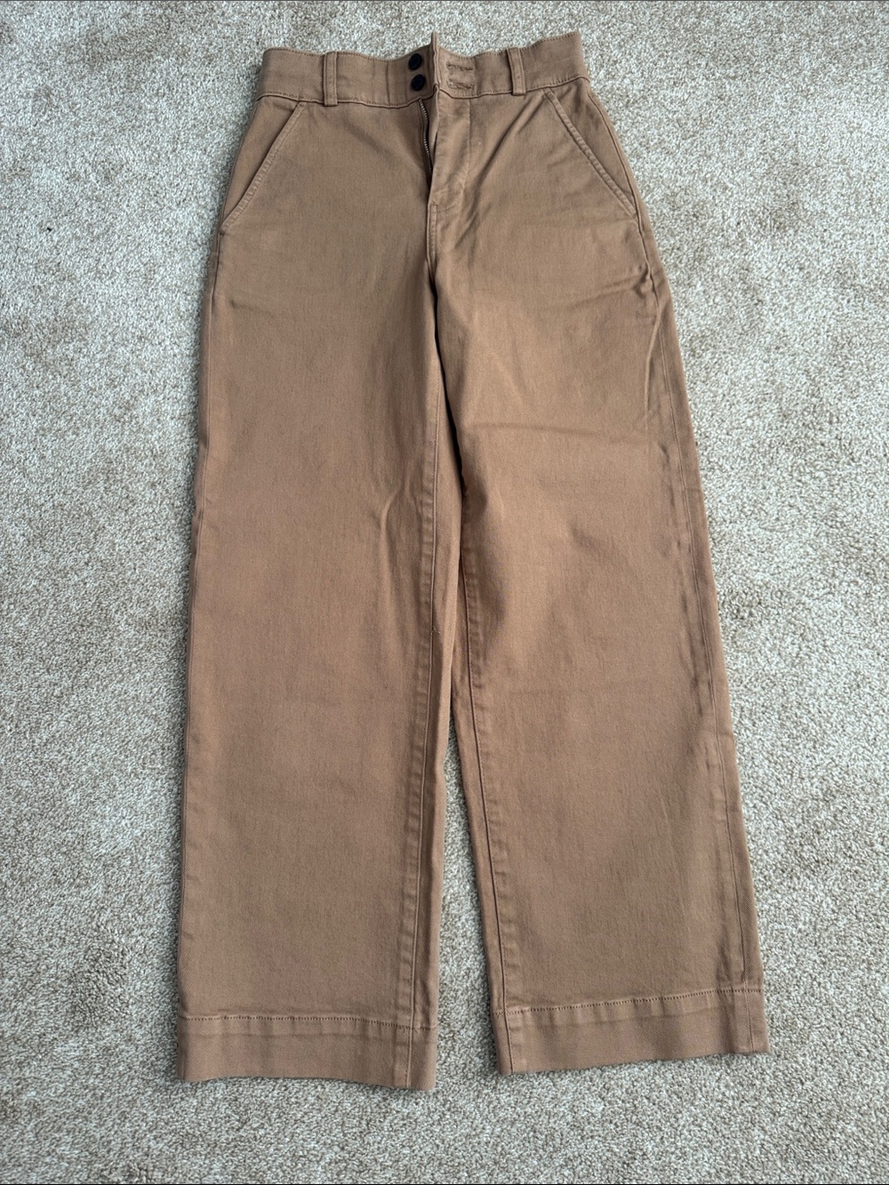 Everlane Wide-Leg Pants in Brown Tan